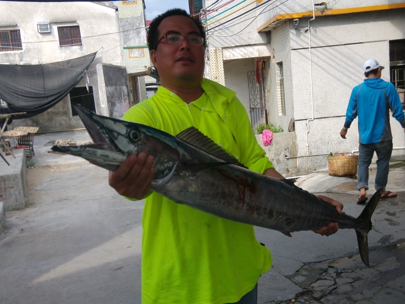 中华马鲛、马鲅、Scomberomorus sinensis_中华马鲛_海富瑜